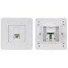 EaseNet Cat 6 Single Face Plates