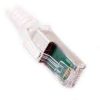 Siemon Category 3M 6A Z-MAX Shielded Modular Patch Cords