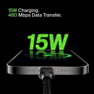 Belkin CCB001BTBK USB-C to A charging Android phone