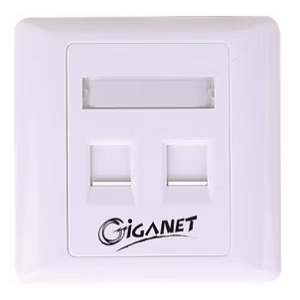 GIGANET GN-FP-02 Faceplate 2-Port Keystone