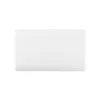 Blank Twin Cover Plate